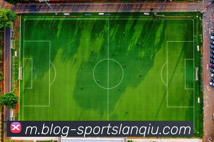 篮球赌注平台生态图